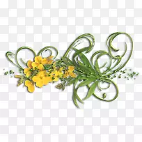 花卉设计花黄色植物-花