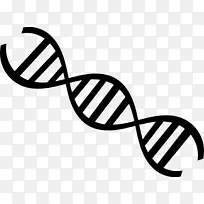 DNA核酸双螺旋遗传学分子生物学剪贴画生物学