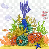 海蜇、珊瑚礁、海葵-海