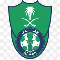 沙特足球俱乐部沙特职业联赛国王阿卜杜拉体育城al-nassr fc俱乐部
