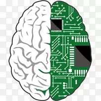 脑-计算机接口-人脑-大脑