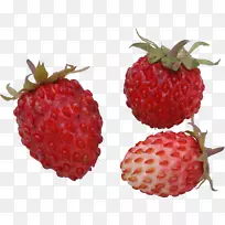 草莓覆盆子副果