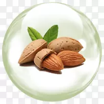 杏仁油风味食品保健-杏仁