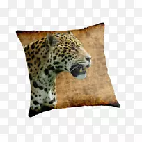 美洲豹猎豹猫扔枕头-豹子