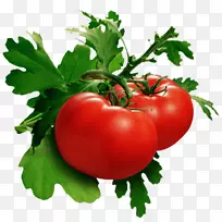 叶蔬菜番茄汤食品-Verdura