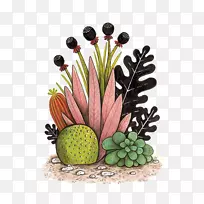 仙人掌科绘画艺术肉质植物设计