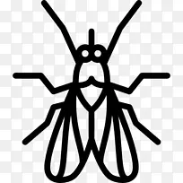 昆虫电脑图标飞蚊虫剪贴画