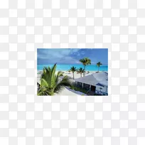 绿海龟礁宝贝希望小镇希尔顿在度假村世界比米尼大乔唐纳礁宝贝岛媒体