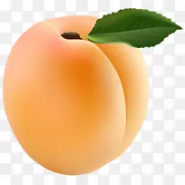 杏片艺术-杏