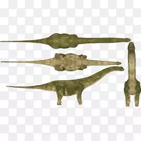 阿根廷龙动物园大亨2只恐龙巨龙-恐龙