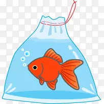 金鱼淘金热水族馆摄影-马苏里