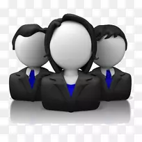 虚拟团队公司管理业务人员信息-人力资源