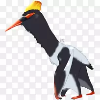 企鹅Cygnini鸭鸟