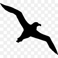 鸟信天翁计算机图标符号-鸟