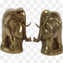 印度象非洲象01504-象