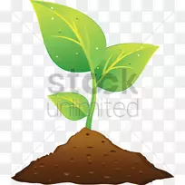 植物与土壤剪贴画-植物