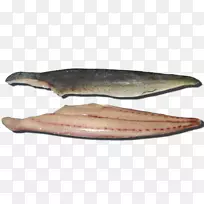 三文鱼产品09777油性鱼类