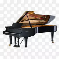 Fazioli数码钢琴大钢琴音乐会-钢琴