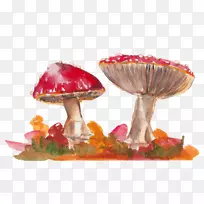 秋南瓜派水彩画剪贴画-秋天