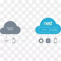 Nest实验室google开发人员应用程序编程接口恒温器
