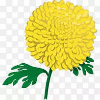 菊花×葛兰插花艺术