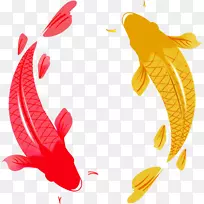 鲤鱼摄影剪贴画-鱼