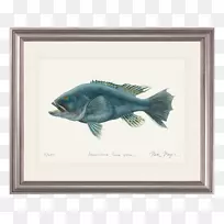 北方梭子鱼水彩画