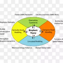 组织生态系统理论线字形复杂系统