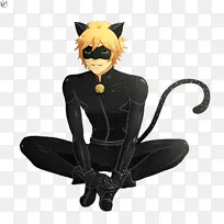 阿德里安·艾瑞斯特黑猫小猫玛丽娜·杜潘-成猫