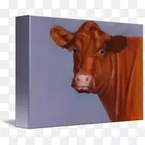 Hereford牛，纸，牛肉，牛，Zazzle婚礼邀请函-绘画