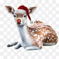 圣诞老人的驯鹿圣诞剪贴画-驯鹿