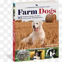 犬种农场狗：一个全面的品种指南，93名监护人，牧羊人，猎犬，和犬类工作伙伴小狗，阿纳托利亚牧羊犬马雷玛牧羊犬-小狗。
