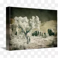 画画框树冬-纪念碑谷