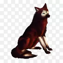 红狐犬