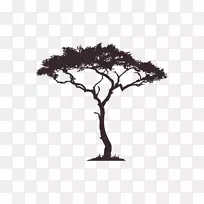 非洲树木的轮廓-轮廓