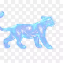 猫狗科尾巴-猫