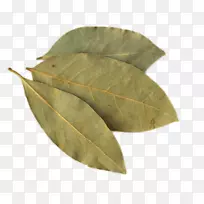 海湾叶印度菜月桂草料理