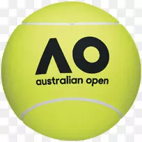 澳大利亚网球公开赛棒球
