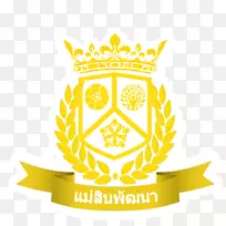 摄影版税-免费版税-技术