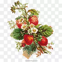 草莓派剪贴画-草莓