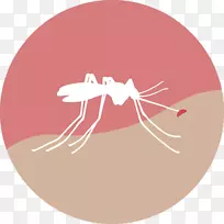 寨卡病毒健康蚊子寨卡热药物-血液中的血液