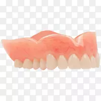 义齿、牙科、杨木、牙科丙烯酸树脂