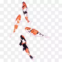 锦鲤彩色铅笔画水彩画鱼