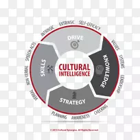 文化智慧文化跨文化领导文化多样性文化意识