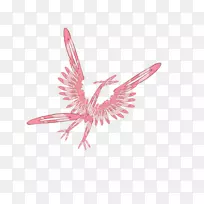 粉红m羽喙线-羽毛