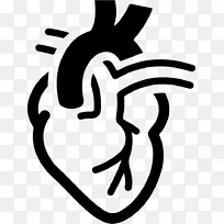 心脏病学，心脏保健，医院医学-心脏