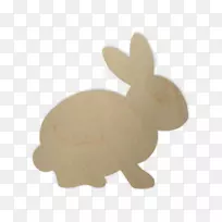 国内兔复活节兔新英格兰棉兔形状