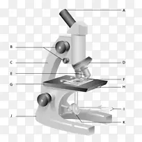 卡尔蔡司显微镜光学显微镜工作表图显微镜
