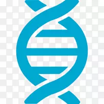 产前检查遗传学染色体异常Edwards综合征产前护理-生殖健康