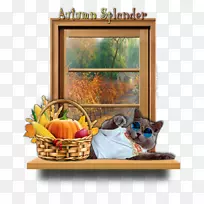 食品礼品篮，静物画框，感恩节-感恩节